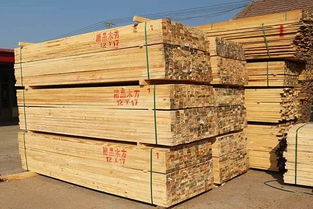 我國木材產品消費量躍居世界前列，市場機遇與挑戰并存